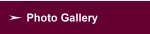 Photo Gallery